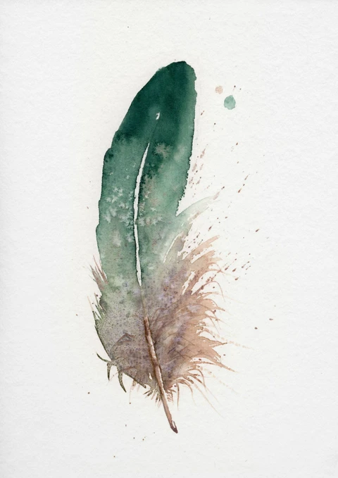 Image of a feather watercolor painting by Shayna Larsen, originals & prints available