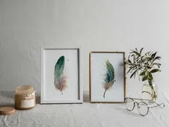 Image of a feather watercolor painting by Shayna Larsen, originals & prints available