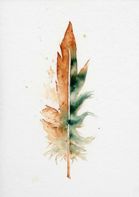 Image of a feather watercolor painting by Shayna Larsen, originals & prints available