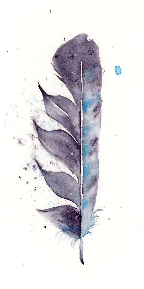 Image of a feather watercolor painting by Shayna Larsen, originals & prints available