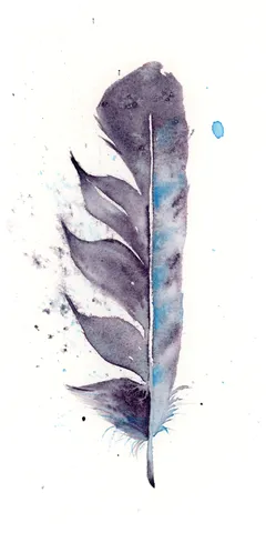 Image of a feather watercolor painting by Shayna Larsen, originals & prints available