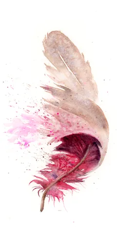 Image of a feather watercolor painting by Shayna Larsen, originals & prints available
