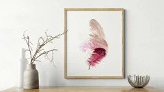 Image of a feather watercolor painting by Shayna Larsen, originals & prints available
