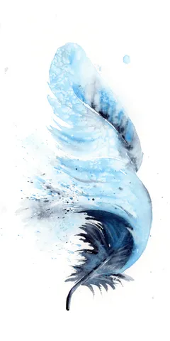 Image of a feather watercolor painting by Shayna Larsen, originals & prints available