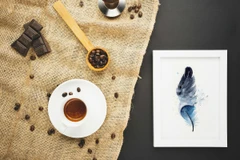 Image of a feather watercolor painting by Shayna Larsen, originals & prints available