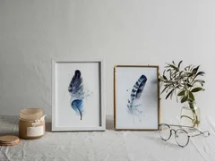 Image of a feather watercolor painting by Shayna Larsen, originals & prints available