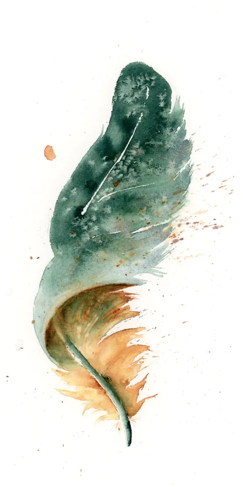 Image of a feather watercolor painting by Shayna Larsen, originals & prints available