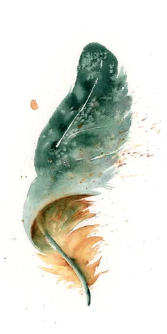 Image of a feather watercolor painting by Shayna Larsen, originals & prints available