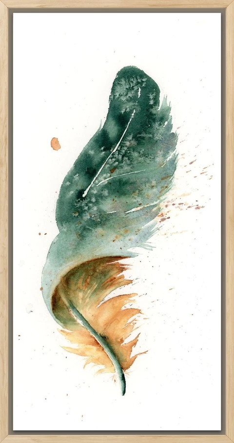 Image of a feather watercolor painting by Shayna Larsen, originals & prints available