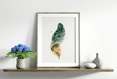 Image of a feather watercolor painting by Shayna Larsen, originals & prints available