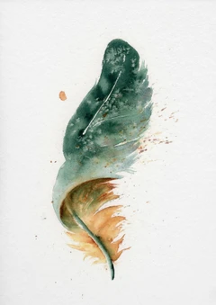 Image of a feather watercolor painting by Shayna Larsen, originals & prints available