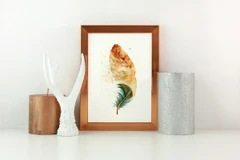 Image of a feather watercolor painting by Shayna Larsen, originals & prints available