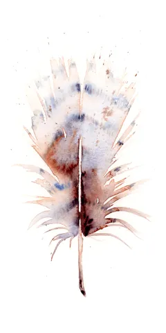 Image of a feather watercolor painting by Shayna Larsen, originals & prints available