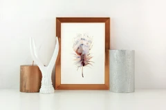Image of a feather watercolor painting by Shayna Larsen, originals & prints available