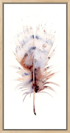 Image of a feather watercolor painting by Shayna Larsen, originals & prints available
