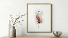 Image of a feather watercolor painting by Shayna Larsen, originals & prints available