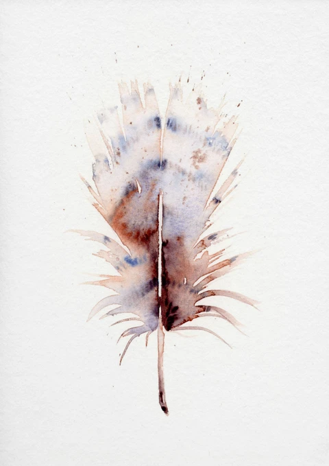 Image of a feather watercolor painting by Shayna Larsen, originals & prints available