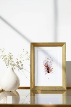 Image of a feather watercolor painting by Shayna Larsen, originals & prints available