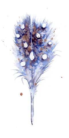 Image of a feather watercolor painting by Shayna Larsen, originals & prints available