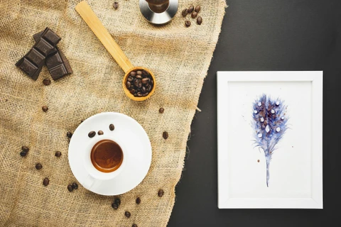 Image of a feather watercolor painting by Shayna Larsen, originals & prints available
