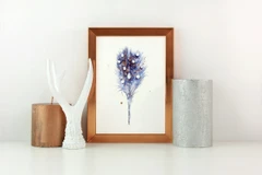 Image of a feather watercolor painting by Shayna Larsen, originals & prints available