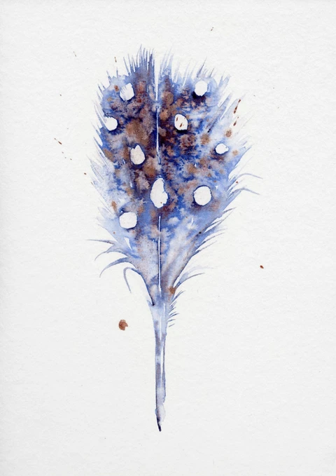 Image of a feather watercolor painting by Shayna Larsen, originals & prints available