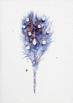 Image of a feather watercolor painting by Shayna Larsen, originals & prints available