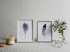 Image of a feather watercolor painting by Shayna Larsen, originals & prints available