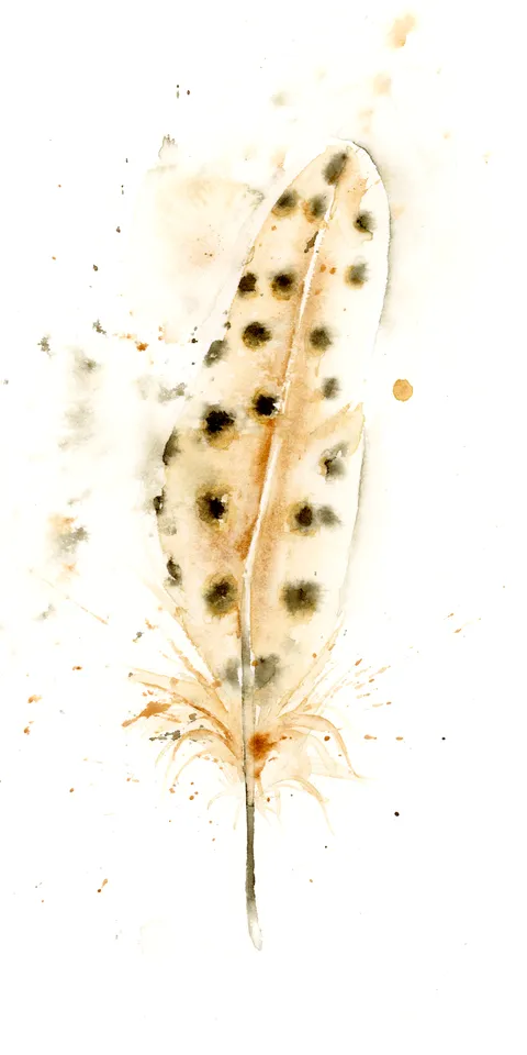 Image of a feather watercolor painting by Shayna Larsen, originals & prints available