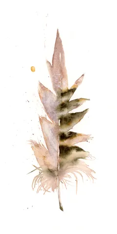 Image of a feather watercolor painting by Shayna Larsen, originals & prints available