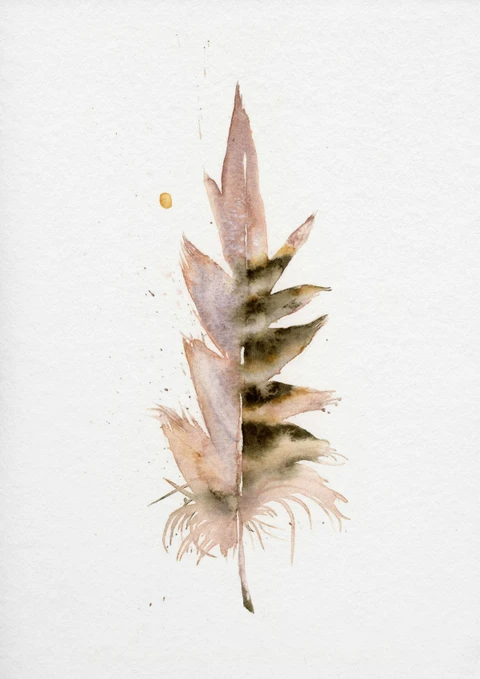 Image of a feather watercolor painting by Shayna Larsen, originals & prints available