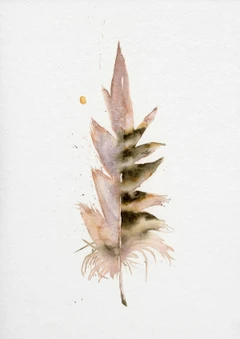 Image of a feather watercolor painting by Shayna Larsen, originals & prints available