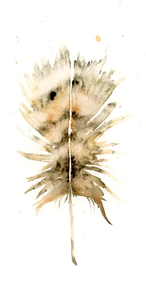 Image of a feather watercolor painting by Shayna Larsen, originals & prints available