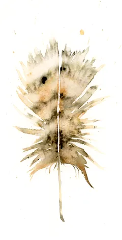 Image of a feather watercolor painting by Shayna Larsen, originals & prints available