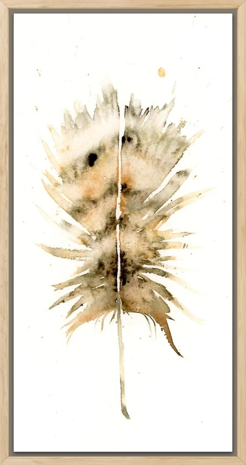 Image of a feather watercolor painting by Shayna Larsen, originals & prints available