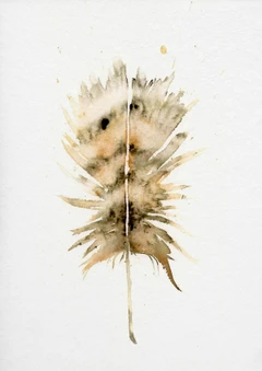 Image of a feather watercolor painting by Shayna Larsen, originals & prints available