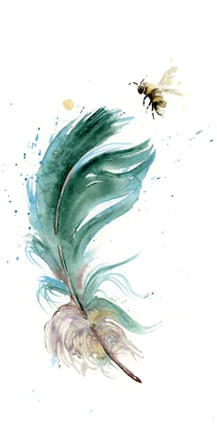 Image of a feather watercolor painting by Shayna Larsen, originals & prints available