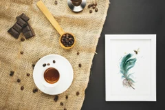 Image of a feather watercolor painting by Shayna Larsen, originals & prints available
