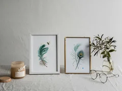 Image of a feather watercolor painting by Shayna Larsen, originals & prints available