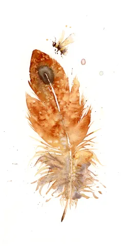 Image of a feather watercolor painting by Shayna Larsen, originals & prints available