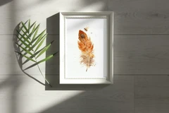 Image of a feather watercolor painting by Shayna Larsen, originals & prints available