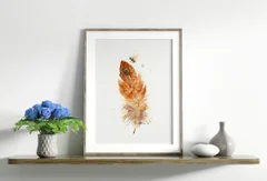 Image of a feather watercolor painting by Shayna Larsen, originals & prints available