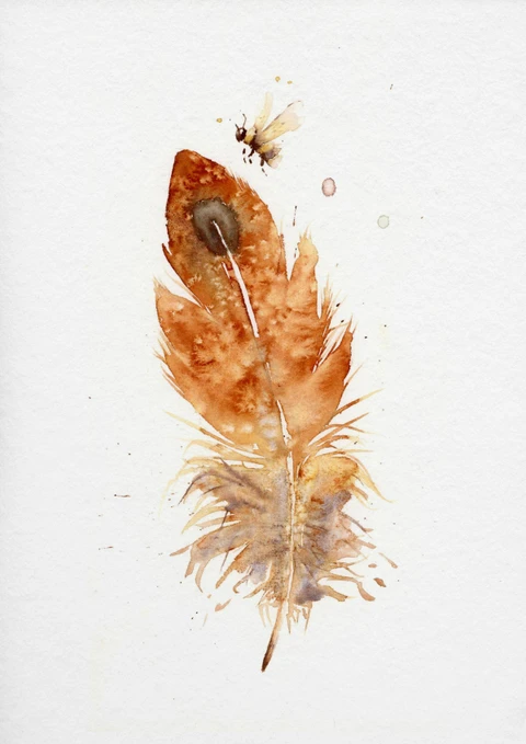Image of a feather watercolor painting by Shayna Larsen, originals & prints available