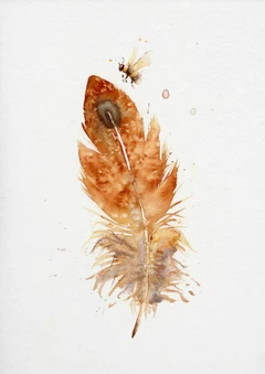 Image of a feather watercolor painting by Shayna Larsen, originals & prints available