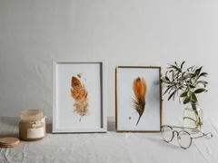 Image of a feather watercolor painting by Shayna Larsen, originals & prints available