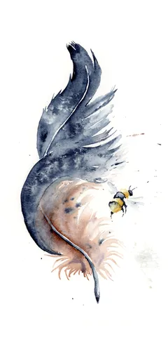 Image of a feather watercolor painting by Shayna Larsen, originals & prints available