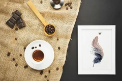 Image of a feather watercolor painting by Shayna Larsen, originals & prints available
