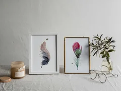Image of a feather watercolor painting by Shayna Larsen, originals & prints available