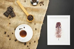 Image of a feather watercolor painting by Shayna Larsen, originals & prints available