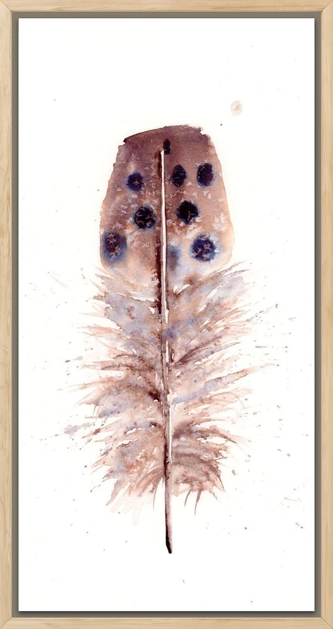 Image of a feather watercolor painting by Shayna Larsen, originals & prints available